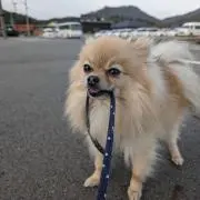 Ru