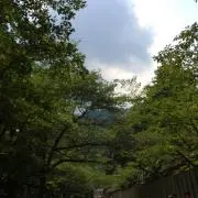 Tbookの画像