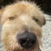 una^の画像