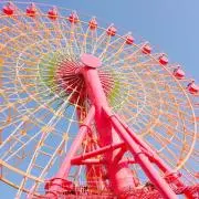 まどりんの画像