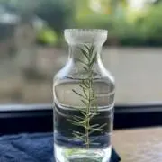 sealavieの画像