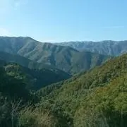 ノアコーワ（プロフご確認下さい）