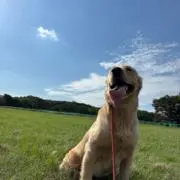 よしきの画像