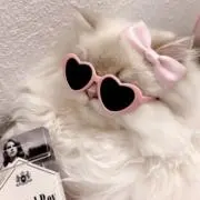 めろんの画像