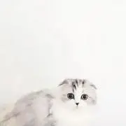 eitaの画像