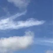 dorayakiの画像