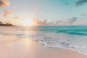 ★alohashop★の画像