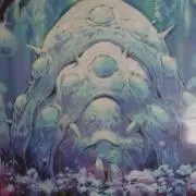 森の画像