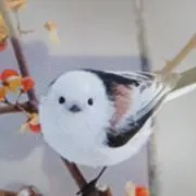 しげぽんの画像