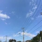 森の住人