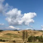 ろあの画像