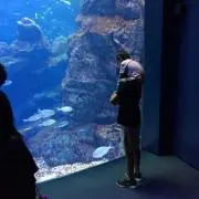 Kiki