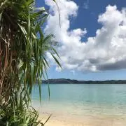paradiseの画像
