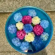 Kの画像