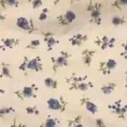 アサの画像
