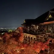 ゆーたの画像