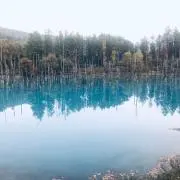 はとの画像