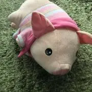サワサワの画像