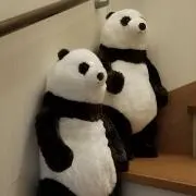 チャタローの画像