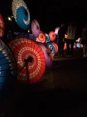 柚葉の画像