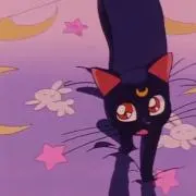mi※プロフ必読※の画像