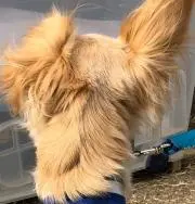 ゆー