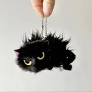 なつかない猫の画像