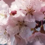 なお