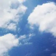 tomyの画像