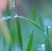 りんくの画像
