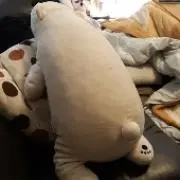 emitの画像