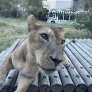 ひろままの画像