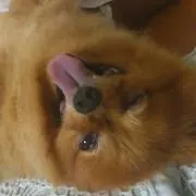 くらすの画像
