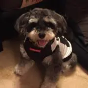 タンちゃんの画像