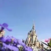 ぷぅの画像