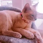 すず