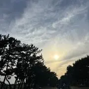 tambaの画像