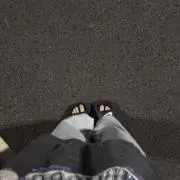 砂肝