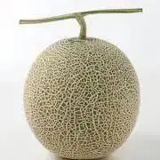 netmelonの画像