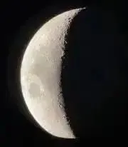 チョ子らたの画像