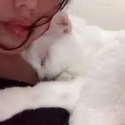 ぱん【基本的に値引き交渉大丈夫です】の画像