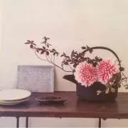 kaiの画像