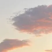 myoの画像