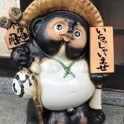 きくぞうの画像