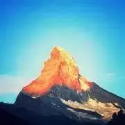マンチーズ58の画像