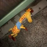 もやしの画像