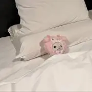 にゃーちゃん⭐︎の画像