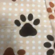 あみんの画像