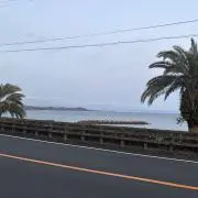 ノコノコ