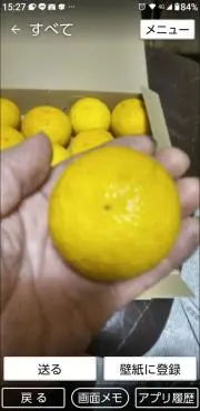 やっちゃんの画像